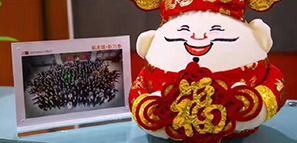 福祿壽喜報道，拓樸設(shè)計給您拜年啦！